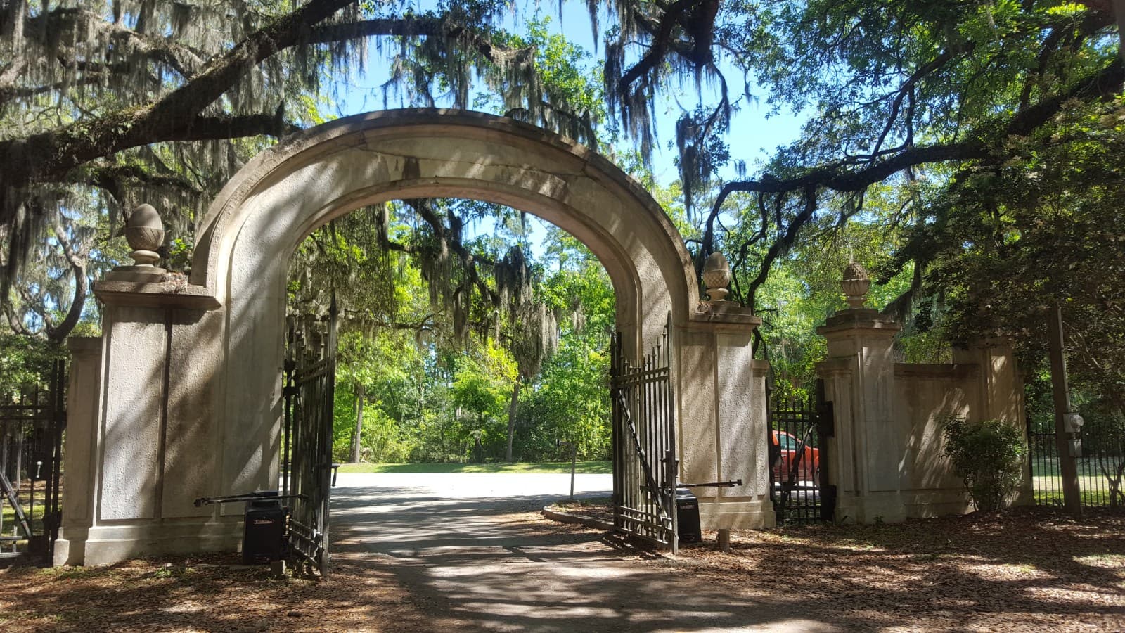 Welcome to Savannah